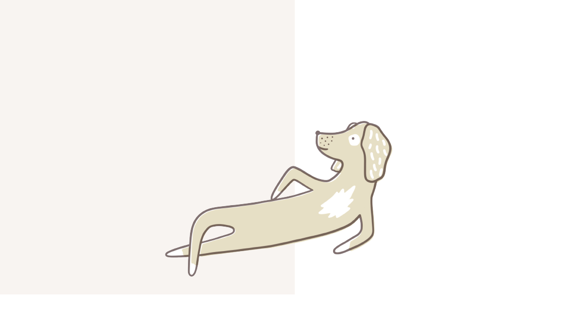 BackGround+loungedog-01 BackGround+loungedog-01